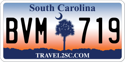 SC license plate BVM719
