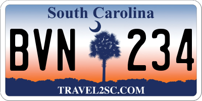 SC license plate BVN234