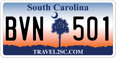 SC license plate BVN501