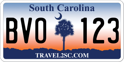 SC license plate BVO123