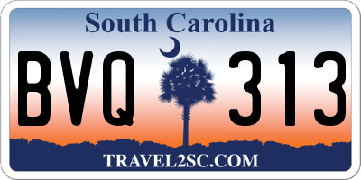 SC license plate BVQ313