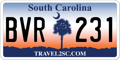 SC license plate BVR231
