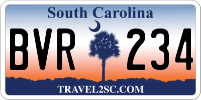 SC license plate BVR234