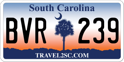 SC license plate BVR239