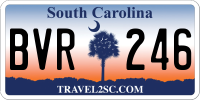 SC license plate BVR246