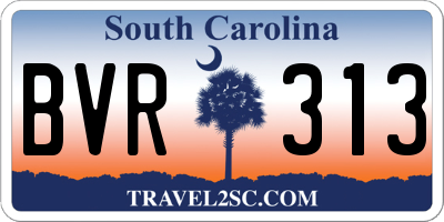 SC license plate BVR313