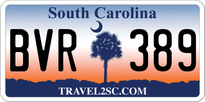 SC license plate BVR389