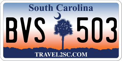 SC license plate BVS503