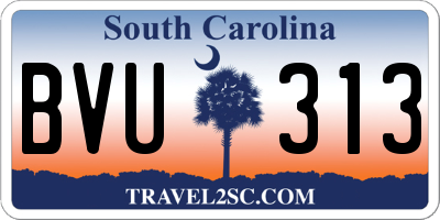 SC license plate BVU313