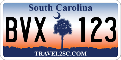 SC license plate BVX123