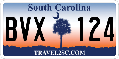 SC license plate BVX124
