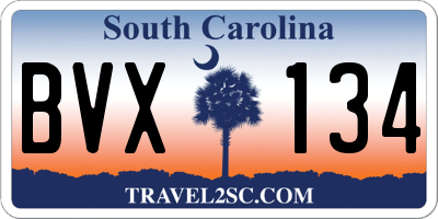 SC license plate BVX134
