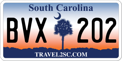 SC license plate BVX202