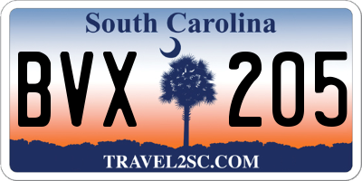SC license plate BVX205