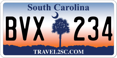 SC license plate BVX234