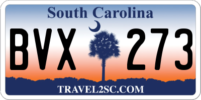SC license plate BVX273