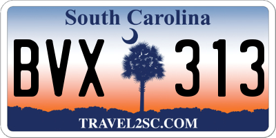 SC license plate BVX313