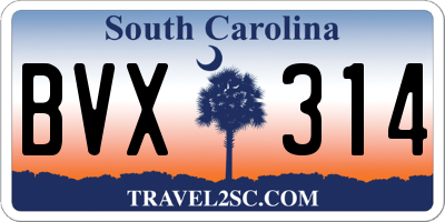 SC license plate BVX314