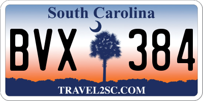 SC license plate BVX384