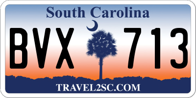 SC license plate BVX713