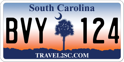 SC license plate BVY124