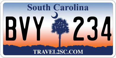 SC license plate BVY234