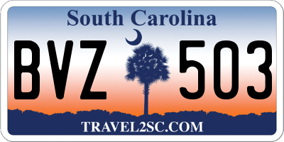 SC license plate BVZ503
