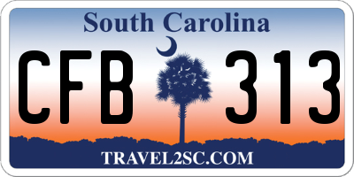 SC license plate CFB313