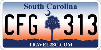 SC license plate CFG313