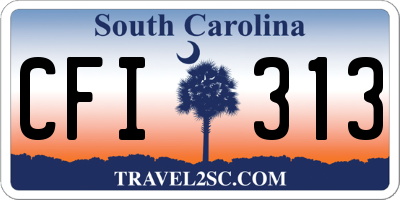 SC license plate CFI313