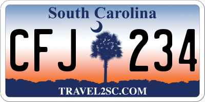 SC license plate CFJ234