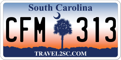 SC license plate CFM313