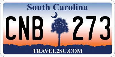 SC license plate CNB273