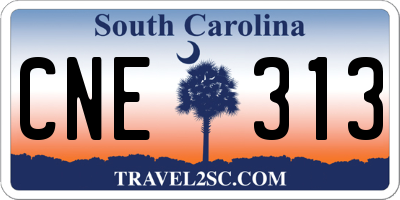 SC license plate CNE313