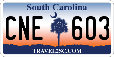 SC license plate CNE603