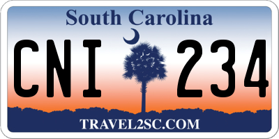 SC license plate CNI234