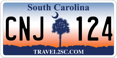 SC license plate CNJ124