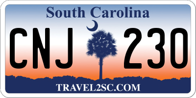 SC license plate CNJ230