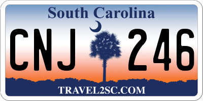 SC license plate CNJ246