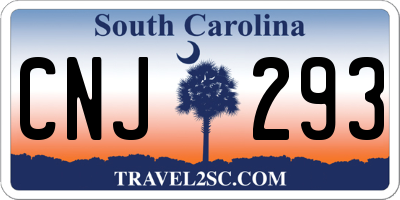 SC license plate CNJ293