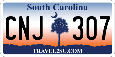 SC license plate CNJ307