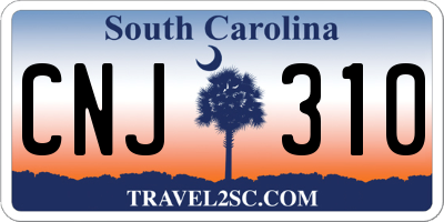 SC license plate CNJ310