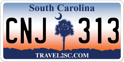 SC license plate CNJ313
