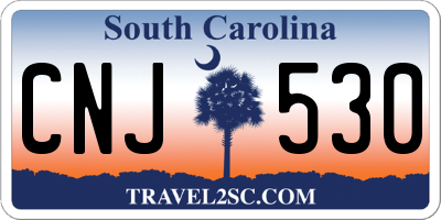 SC license plate CNJ530