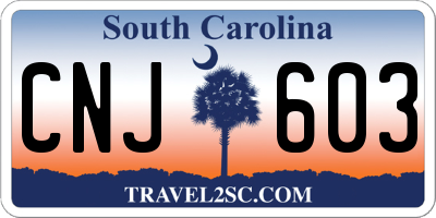 SC license plate CNJ603