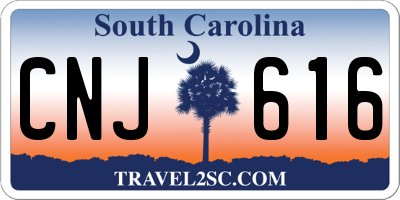 SC license plate CNJ616