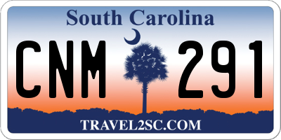 SC license plate CNM291