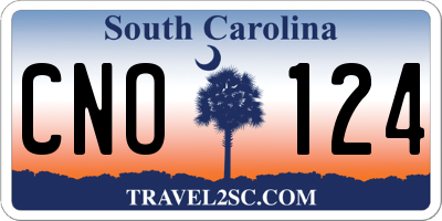 SC license plate CNO124