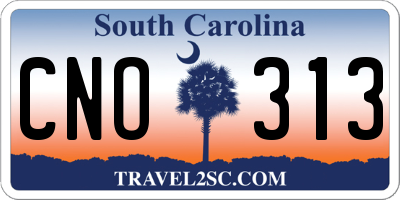 SC license plate CNO313
