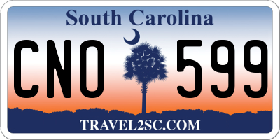 SC license plate CNO599